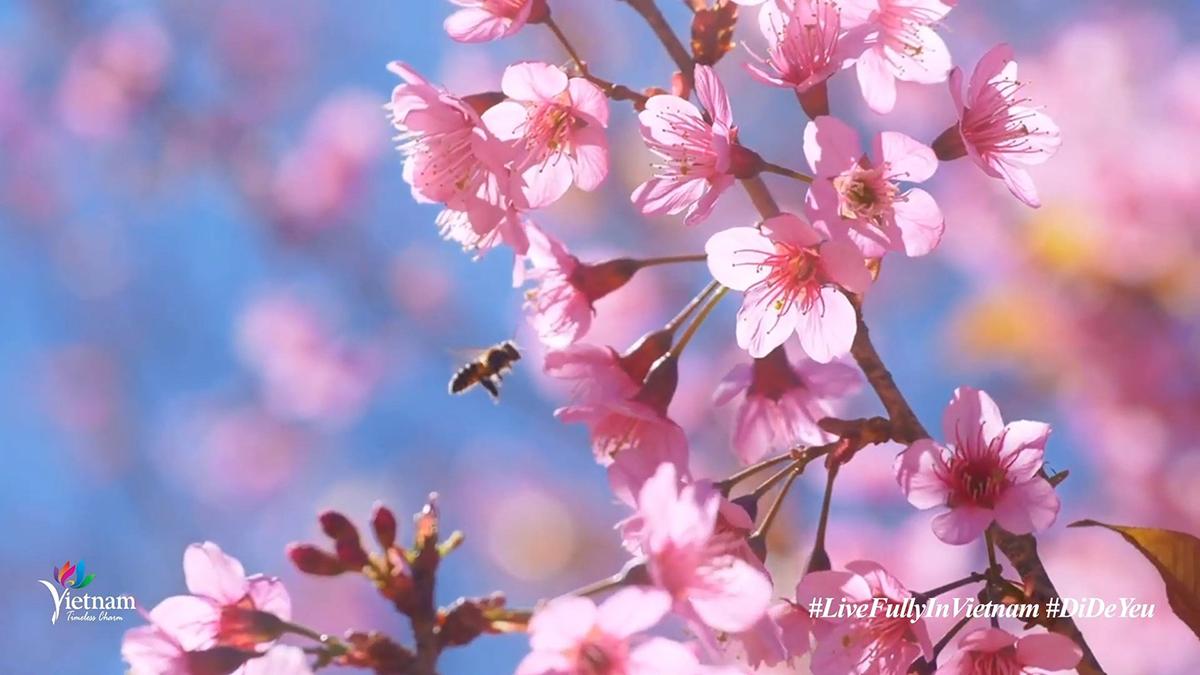 Tranh vẽ gia đình Việt Nam sum họp ấm cúng bên mâm cỗ ngày Tết cổ truyền đầy ắp tiếng cười