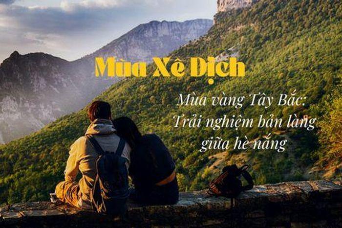 Người phụ nữ mặc áo bà ba giữa cánh đồng lúa chín vàng rực rỡ dưới ánh nắng chiều