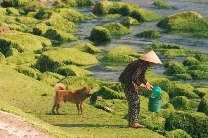 Tranh vẽ phong cảnh mùa hè đẹp nhất khắc họa bãi biển yên bình với cát vàng và sóng vỗ rì rào
