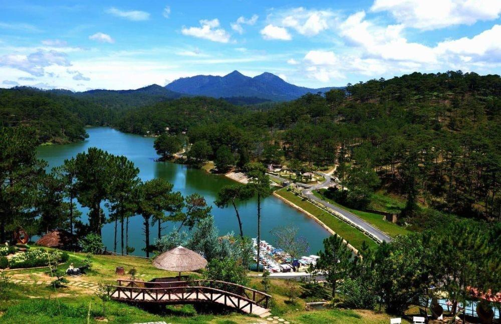 Tranh vẽ cận cảnh chi tiết cụm hoa cẩm tú cầu làm nổi bật từng cánh hoa nhỏ li ti