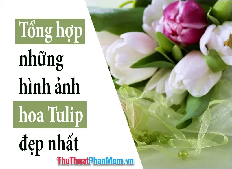 Tranh vẽ cô gái đẹp dịu dàng bên những đóa hoa lãng mạn và tinh tế khoe sắc