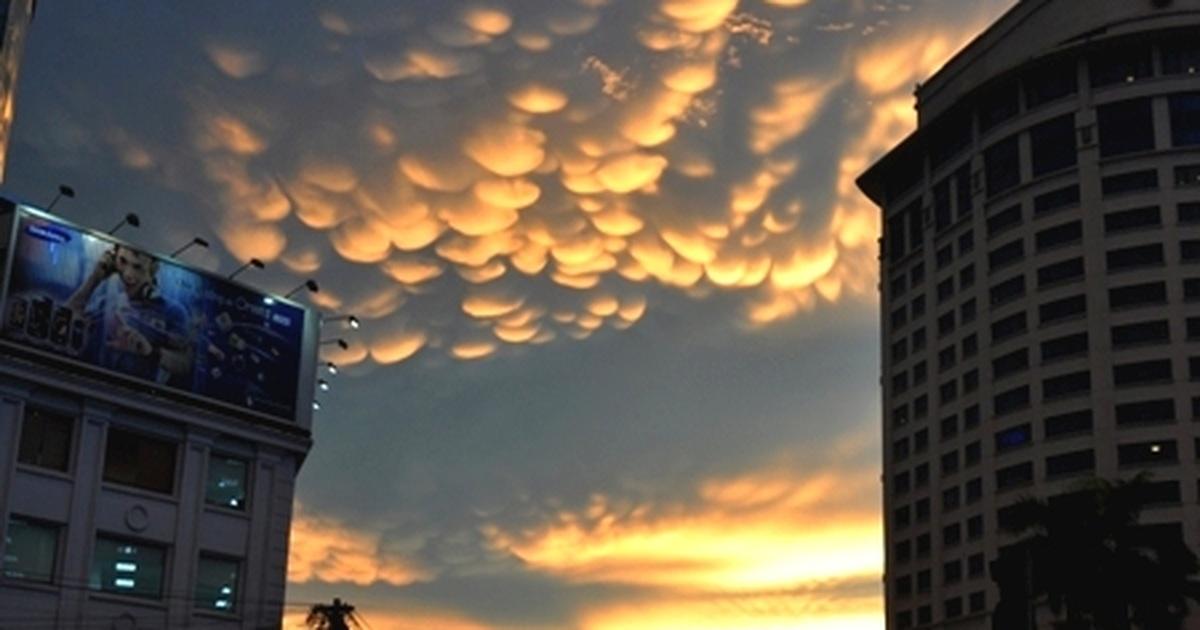 Tranh vẽ phong cảnh hiện tượng tự nhiên cầu vồng rực rỡ sau cơn mưa mùa hạ