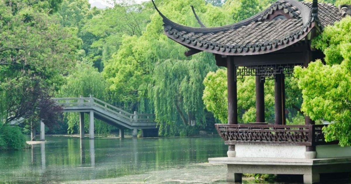 Khám phá vẻ đẹp **tranh vẽ hồ sen đơn giản** lay động lòng người Bức tranh vẽ hồ sen đơn giản tĩnh lặng dưới ánh trăng bạc huyền ảo