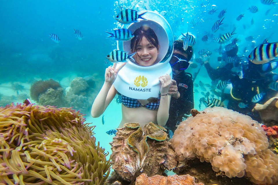 Tranh vẽ môi trường vẻ đẹp của đại dương xanh thẳm với các rạn san hô đầy màu sắc và nhiều loài sinh vật biển tung tăng bơi lội