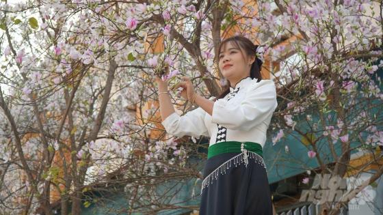 Tranh vẽ núi rừng Tây Bắc với hình ảnh thiếu nữ dân tộc duyên dáng bên cành hoa đào khoe sắc thắm