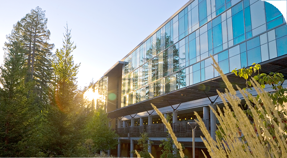 Khám Phá Con Đường Du Học Nhật Bản Ngành Mỹ Thuật Khuôn viên một trường đại học mỹ thuật Nhật Bản với kiến trúc độc đáo và không gian xanh truyền cảm hứng cho sinh viên du học ngành mỹ thuật