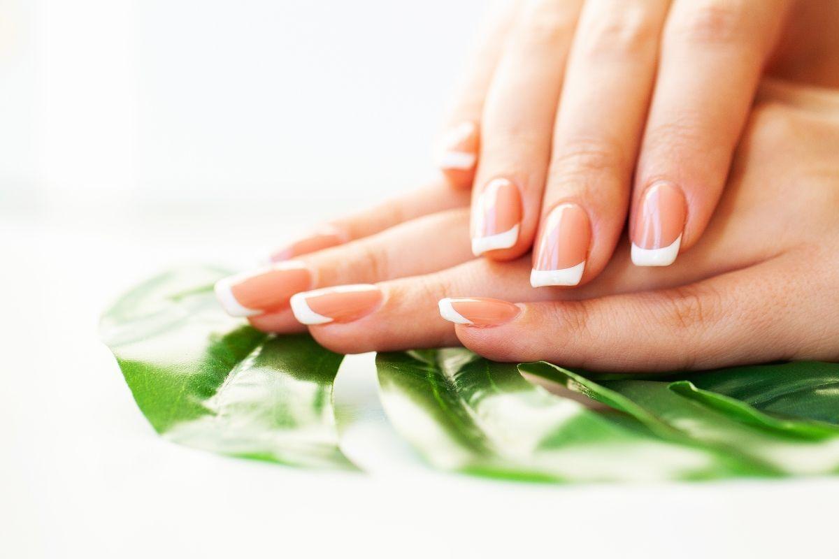 bộ sưu tập các con vật được vẽ cách điệu đơn giản và dễ thương