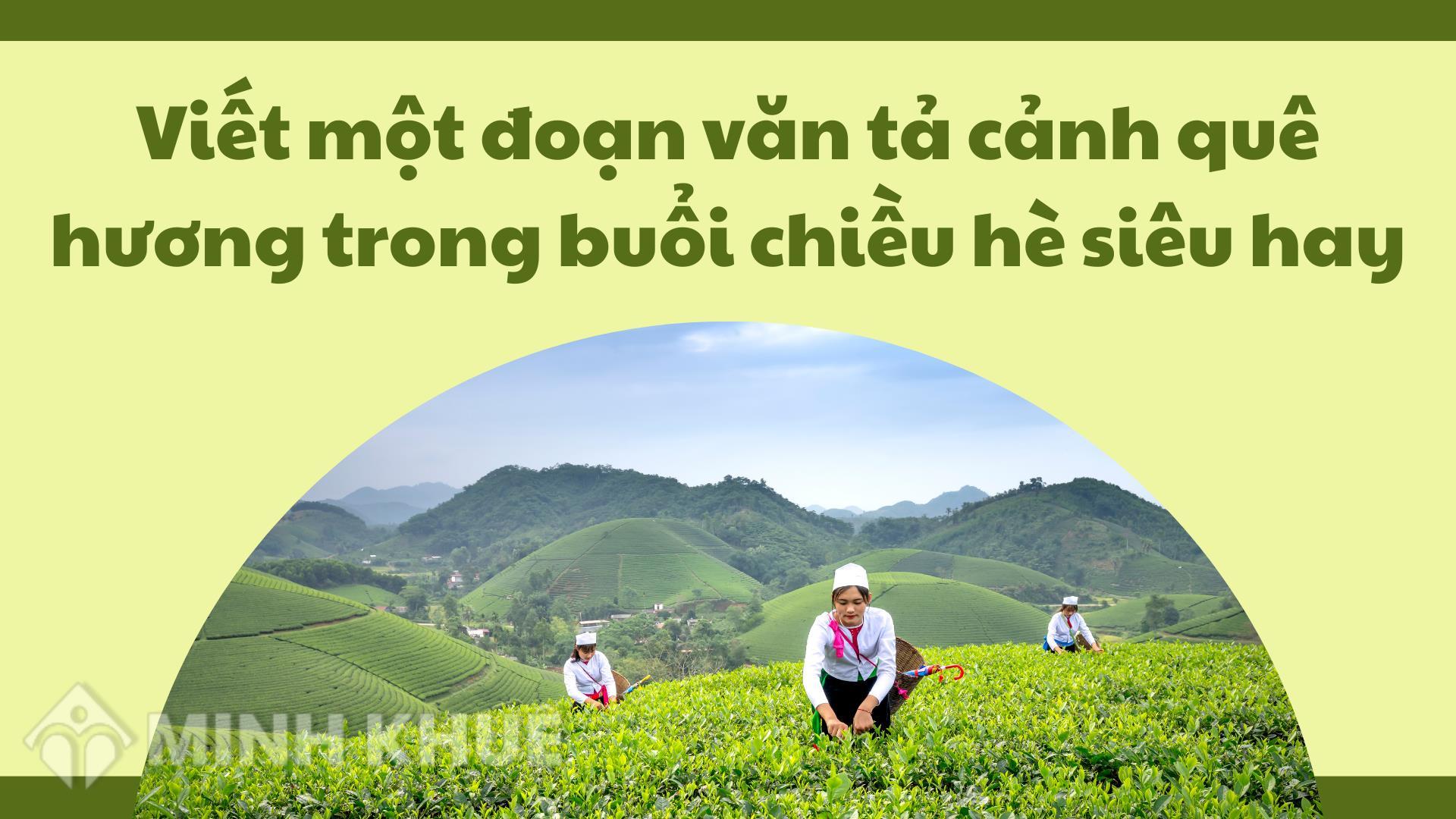 Bức tranh phong cảnh làng quê dễ vẽ với cánh đồng lúa chín vàng ươm dưới nắng hè