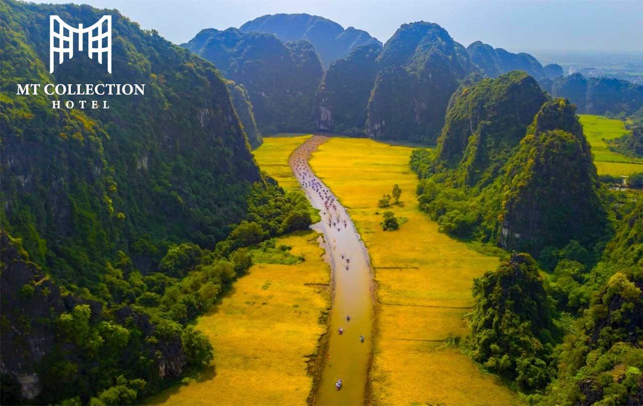 Tranh vẽ cảnh mùa hè đồng quê với cánh đồng lúa vàng, con sông và bầu trời xanh