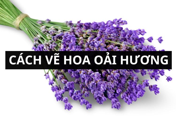 Khám phá bí quyết **cách vẽ hoa oải hương** đẹp như thật Vẽ chi tiết từng bông hoa nhỏ và lá trên cành hoa oải hương