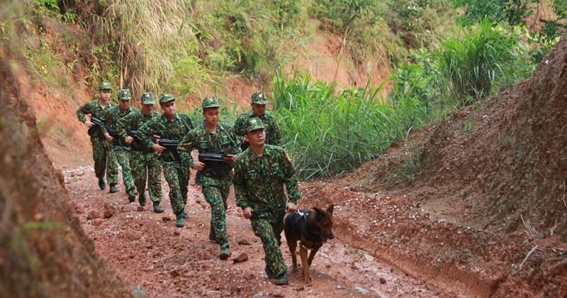 Tranh vẽ chú bộ đội biên phòng đang tuần tra cùng chó nghiệp vụ trên đường biên