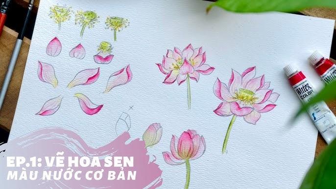 Kỹ thuật vẽ đài sen và nhụy hoa sen chi tiết trong bài học cách vẽ bông hoa sen