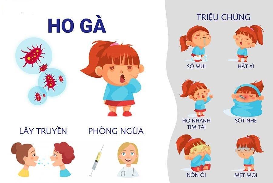 Hướng dẫn chi tiết cách vẽ lá cờ Việt Nam chuẩn nhất Bước vẽ khung hình chữ nhật cho nền lá cờ Việt Nam theo tỷ lệ 2:3