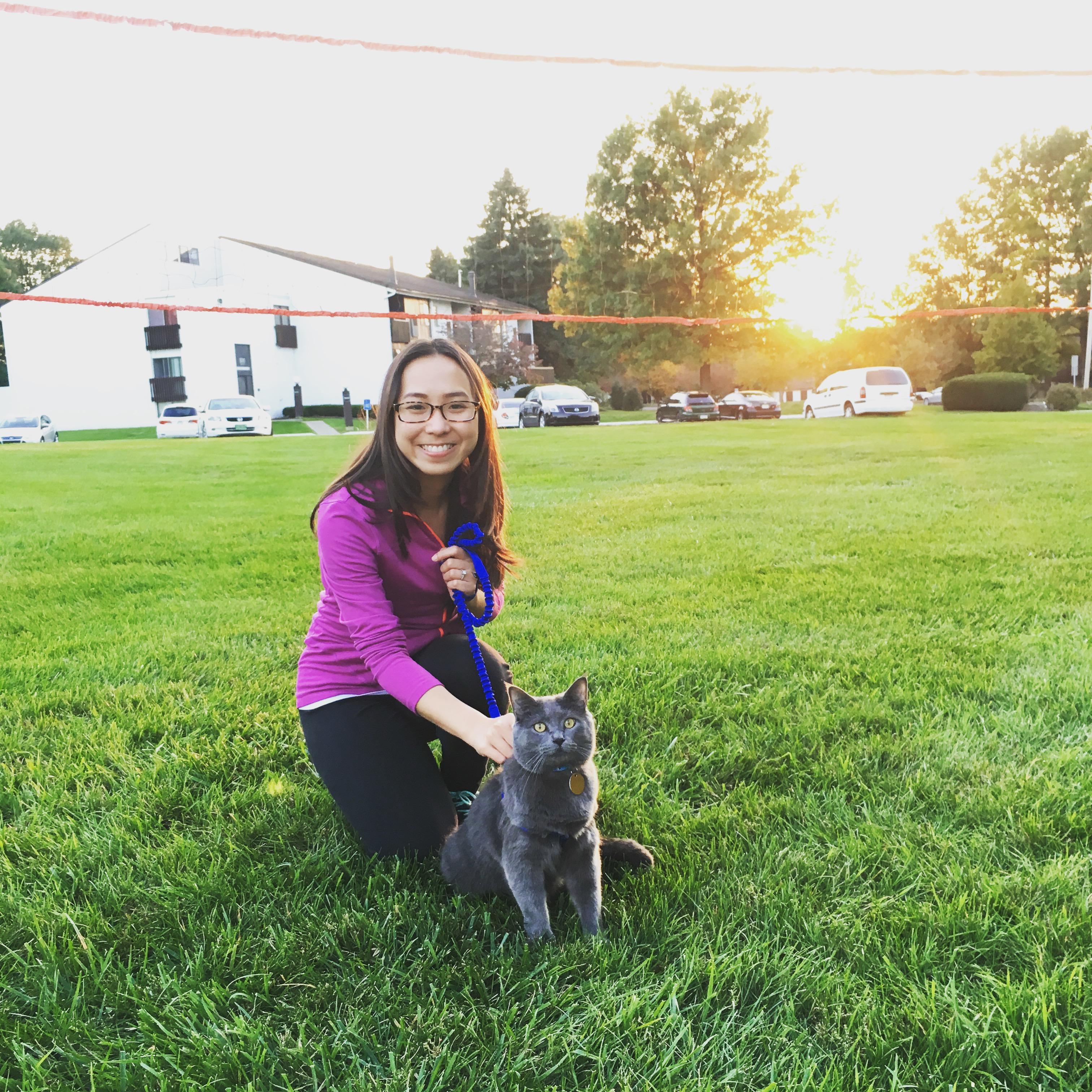 Minh họa kỹ thuật vẽ lại ảnh chú mèo cưng thành tranh màu nước sống động và đáng yêu