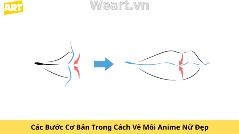 Bí Quyết Cách Vẽ Môi Anime Nữ Đẹp Chuẩn Chuyên Gia Bí Quyết Cách Vẽ Môi Anime Nữ Đẹp Chuẩn Chuyên Gia
