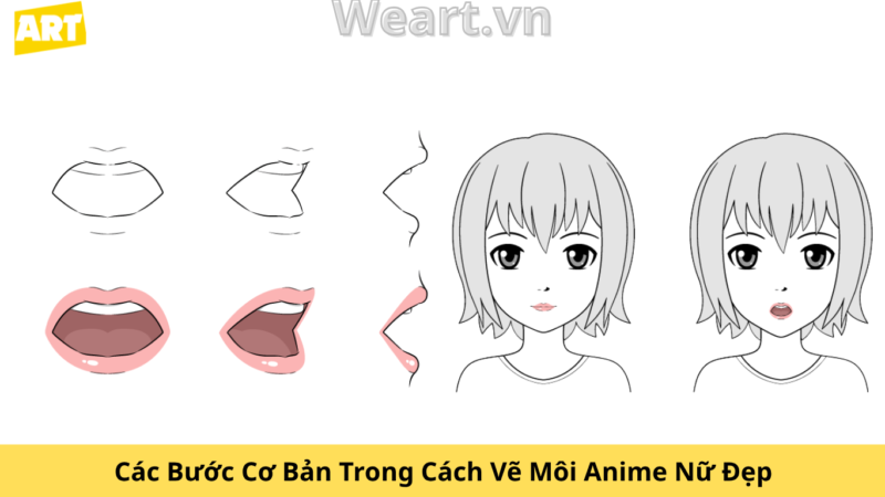 Bí Quyết Cách Vẽ Môi Anime Nữ Đẹp Chuẩn Chuyên Gia Bí Quyết Cách Vẽ Môi Anime Nữ Đẹp Chuẩn Chuyên Gia