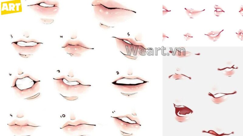 Bí Quyết Cách Vẽ Môi Anime Nữ Đẹp Chuẩn Chuyên Gia Bí Quyết Cách Vẽ Môi Anime Nữ Đẹp Chuẩn Chuyên Gia