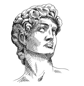 Các bước vẽ đầu tượng thạch cao luyện thi khối V-H Các bước vẽ đầu tượng thạch cao luyện thi khối V-H