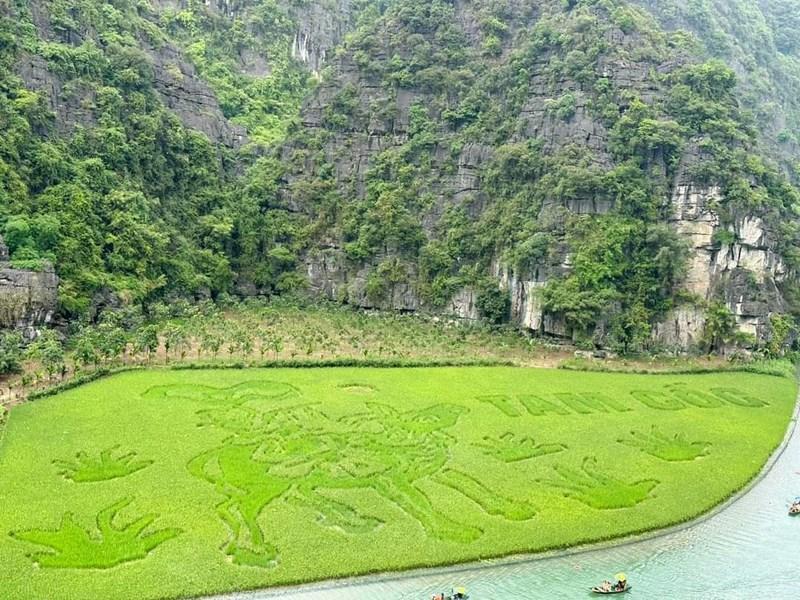 Bức tranh vẽ chủ đề lao động đặc sắc tái hiện người nông dân trên cánh đồng lúa vàng óng ả ngày mùa