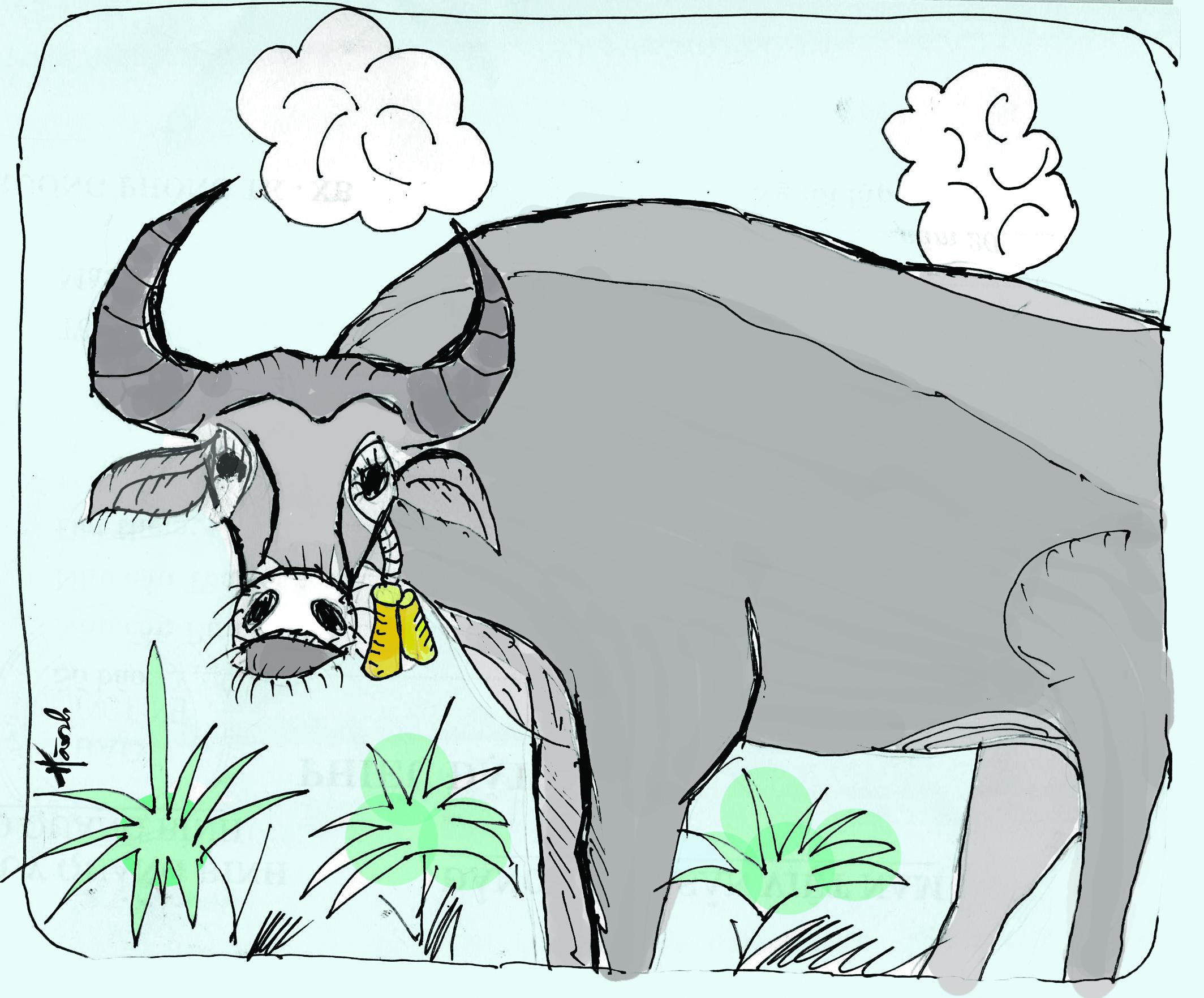 Tranh vẽ đàn trâu thung thăng gặm cỏ trên triền đê làng quê Việt Nam đơn giản mà đẹp mắt