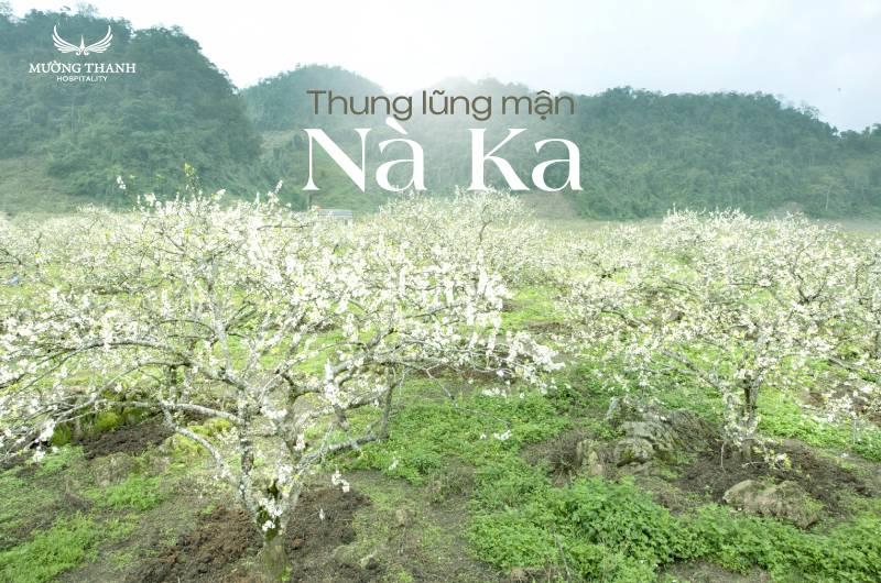 Bức vẽ gia đình 5 người hòa mình vào khung cảnh thiên nhiên tươi đẹp