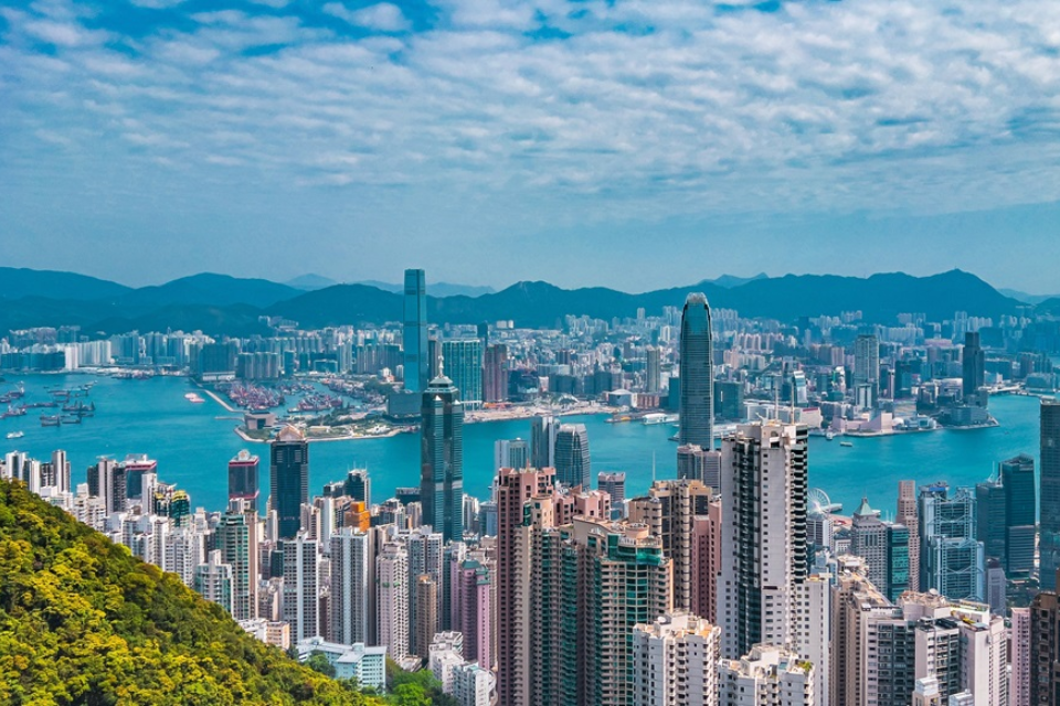 Tuyệt phẩm tranh vẽ chủ đề lễ hội đua thuyền với không khí náo nhiệt và màu sắc rực rỡ