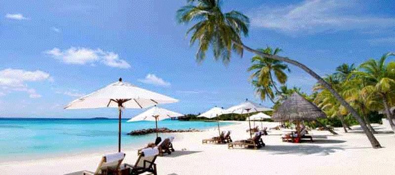 Bức tranh phong cảnh biển vẽ bằng màu sáp với sóng biển, bãi cát và hàng dừa xanh mát