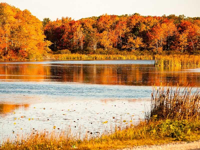 Vẽ tranh phong cảnh mùa thu núi rừng hùng vĩ với sắc lá rực rỡ và không khí trong lành