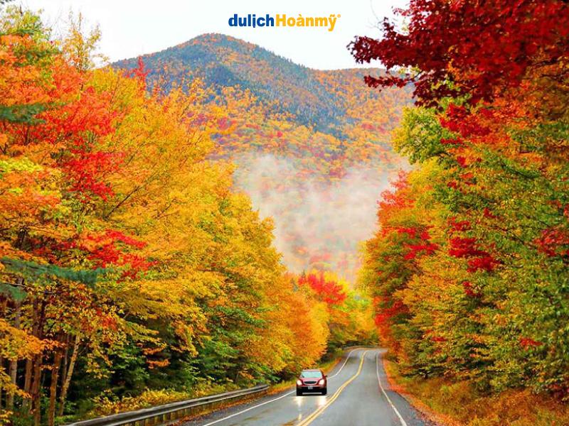 Tranh vẽ phong cảnh Nhật Bản mùa thu lãng mạn với sắc lá phong đỏ vàng đặc trưng và đền cổ