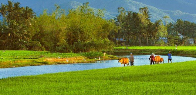 Vẽ bức tranh quê hương thanh bình với dòng sông êm đềm buổi chiều tà thơ mộng