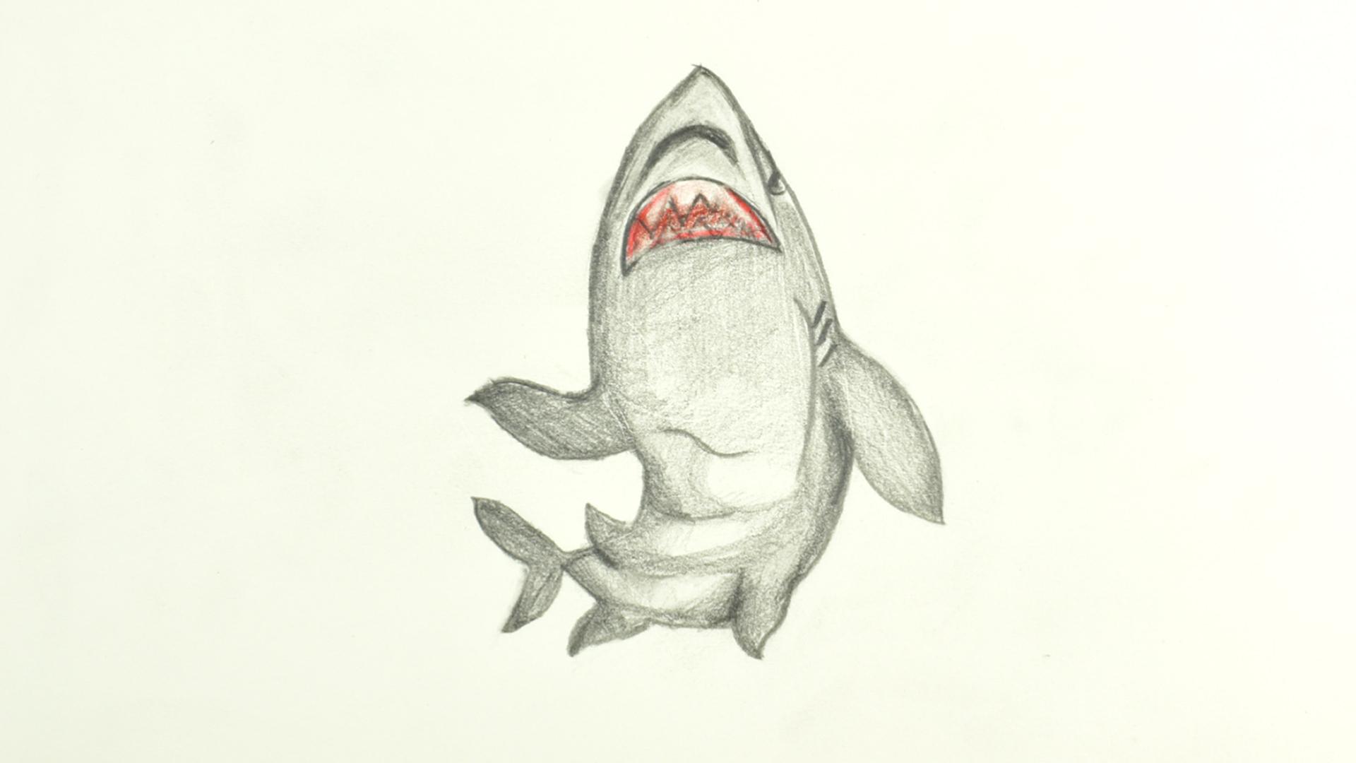 Các bước vẽ vây lưng, vây ngực và đuôi cho cá mập một cách đơn giản