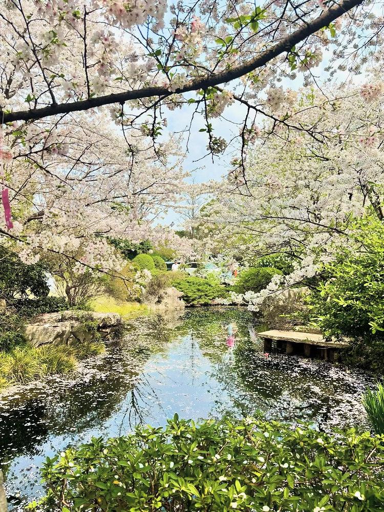 Ý tưởng tranh vẽ sân bóng đá vắng lặng hoàng hôn, tập trung kiến trúc và ánh sáng đẹp