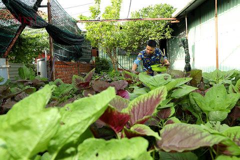 Bức tranh ý tưởng sáng tạo về bảo vệ biển đảo, kết hợp hình ảnh người lính, ngư dân và các loài sinh vật biển