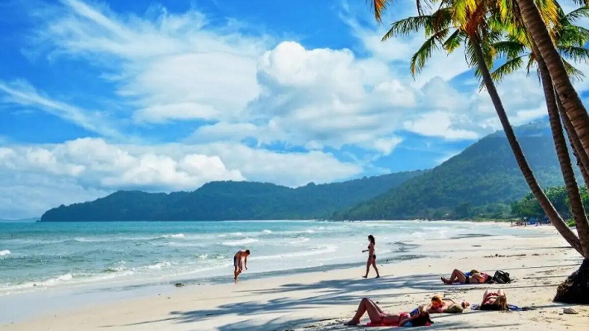 Ý tưởng vẽ tranh phong cảnh biển đơn giản mà đẹp với bãi cát vàng và hàng dừa xanh nghiêng bóng