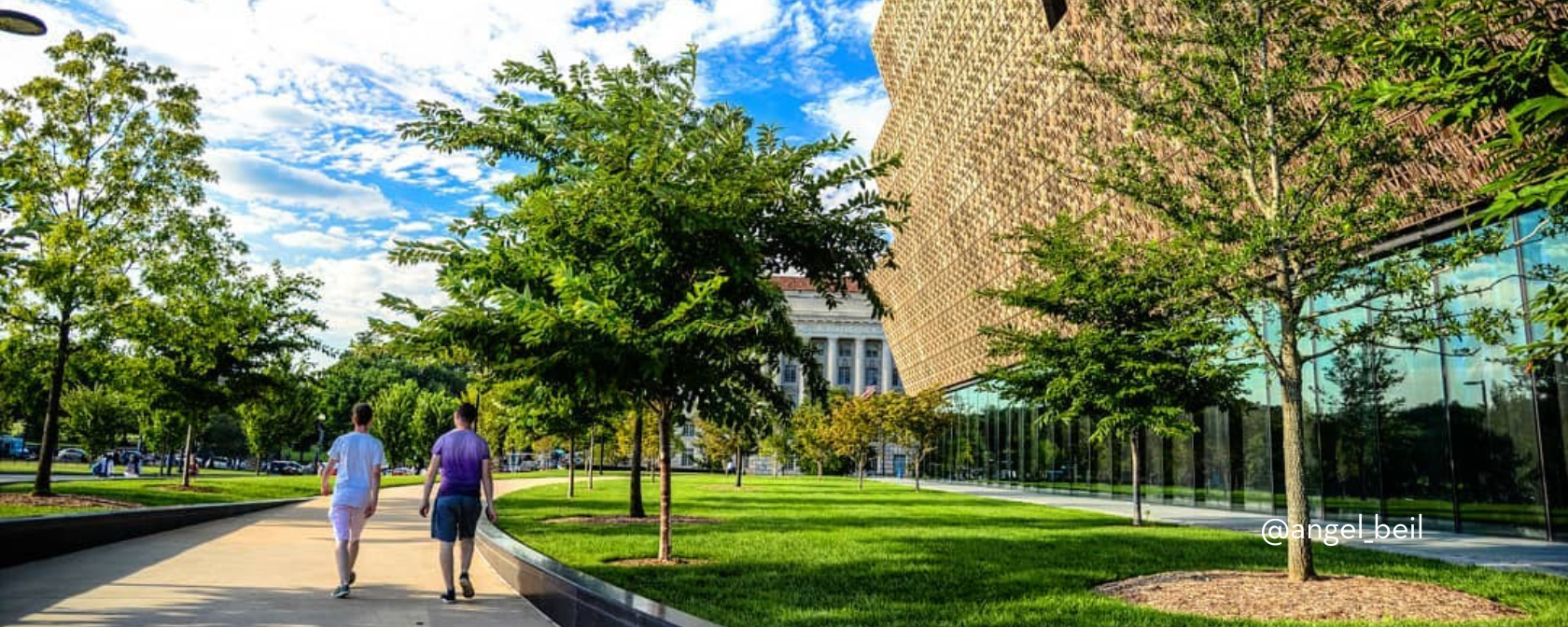 Ý tưởng vẽ tranh gia đình đang cùng nhau đi dã ngoại vui vẻ trong công viên xanh mát