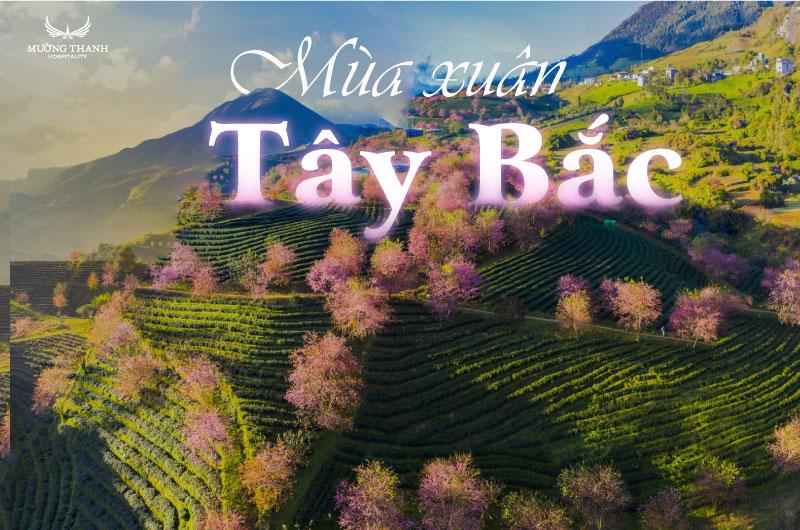 Ý tưởng vẽ tranh phong cảnh mùa xuân hùng vĩ với núi non trùng điệp và hoa rừng khoe sắc