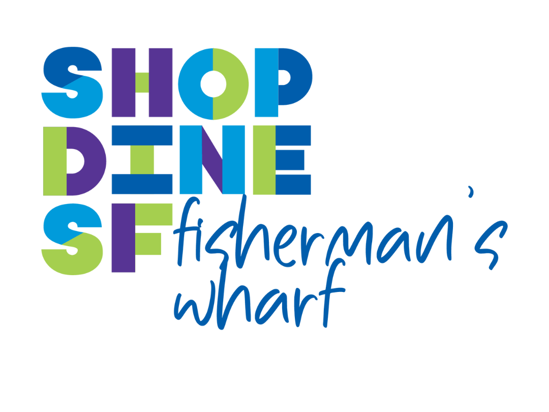 Ý tưởng vẽ tranh biển đảo quê hương độc đáo với các loài sinh vật biển đầy màu sắc