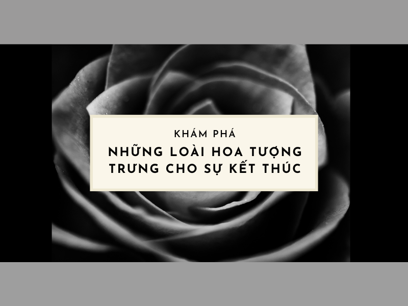 Lắng đọng cảm xúc qua tranh vẽ tình yêu buồn Ý tưởng vẽ tranh tình yêu buồn đơn giản nhưng đầy ý nghĩa với biểu tượng tan vỡ