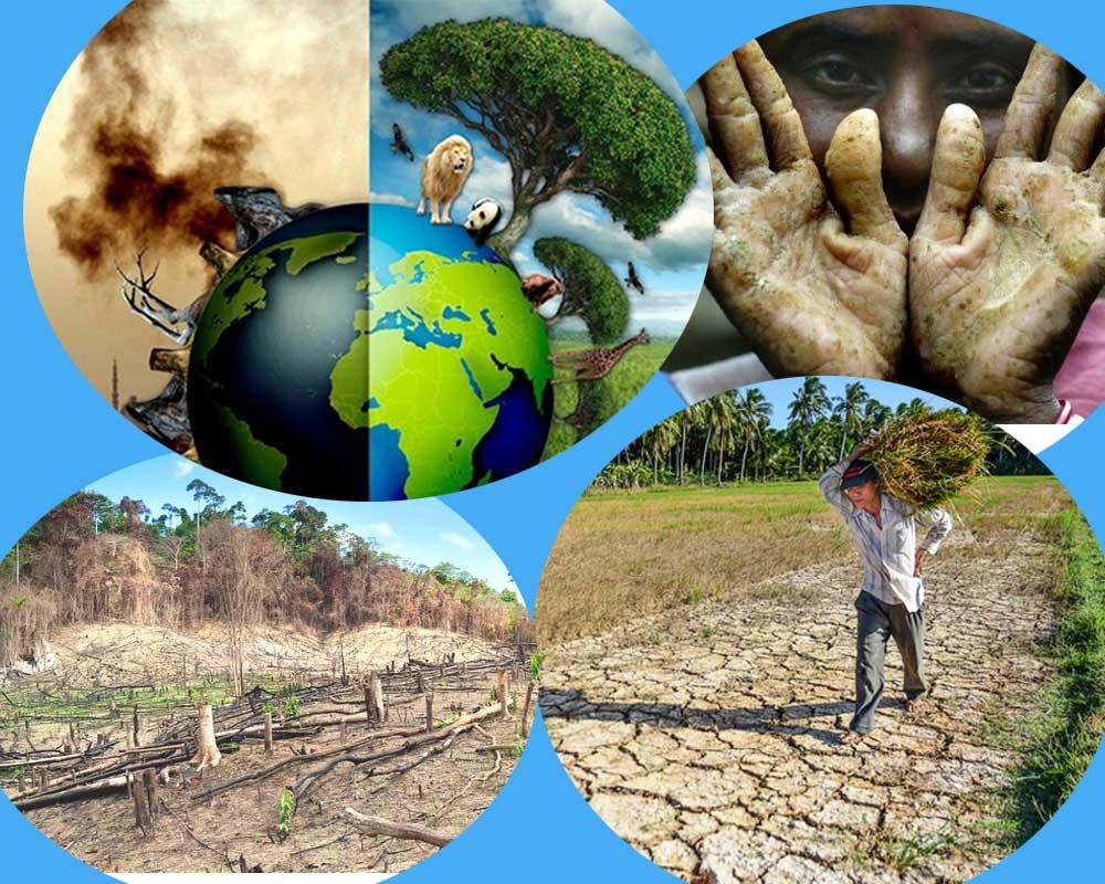 Tranh vẽ nửa Trái Đất xanh tươi và nửa kia khô cằn ô nhiễm, so sánh tác động của con người đến môi trường