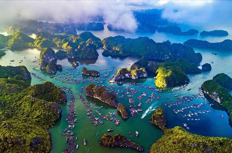 Ý tưởng vẽ tranh vịnh hạ long cảnh làng chài nổi yên bình trên mặt nước vào buổi sáng sớm