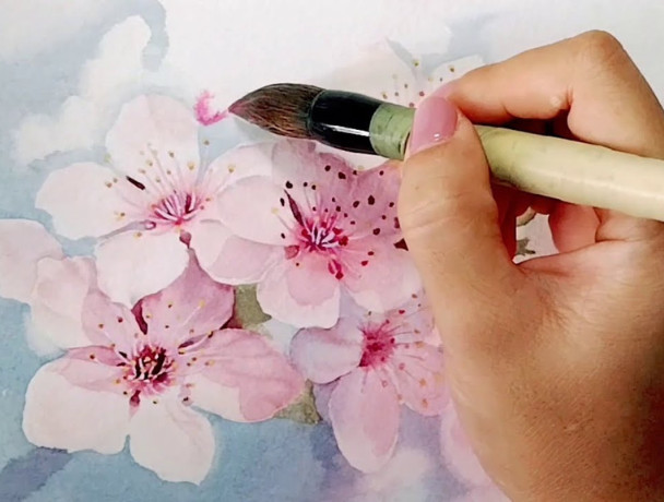 Hướng dẫn cách vẽ hoa đào bằng màu nước đơn giản