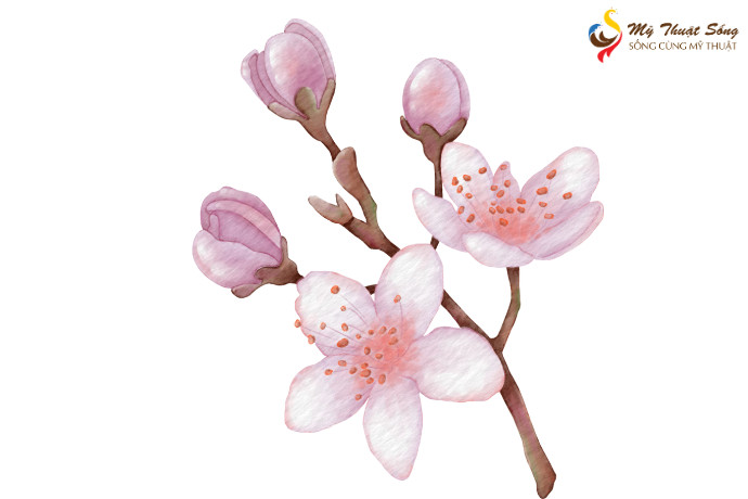 Hướng dẫn cách vẽ hoa đào bằng màu nước đơn giản