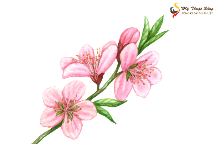 Hướng dẫn cách vẽ hoa đào bằng màu nước đơn giản