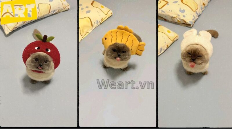 Bộ Sưu Tập Hình Ảnh Avatar Vô Tri Độc Đáo Bộ Sưu Tập Hình Ảnh Avatar Vô Tri Độc Đáo