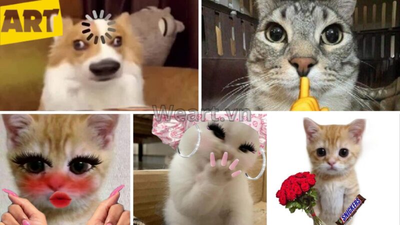 Bộ Sưu Tập Hình Ảnh Avatar Vô Tri Độc Đáo Bộ Sưu Tập Hình Ảnh Avatar Vô Tri Độc Đáo