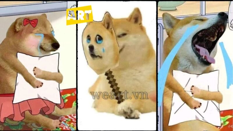 Tổng hợp những Meme Khóc phổ biến nhất Tổng hợp những Meme Khóc phổ biến nhất