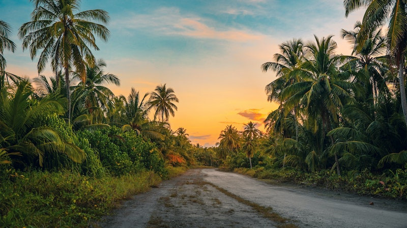 Ảnh 3D sống động về rừng nhiệt đới