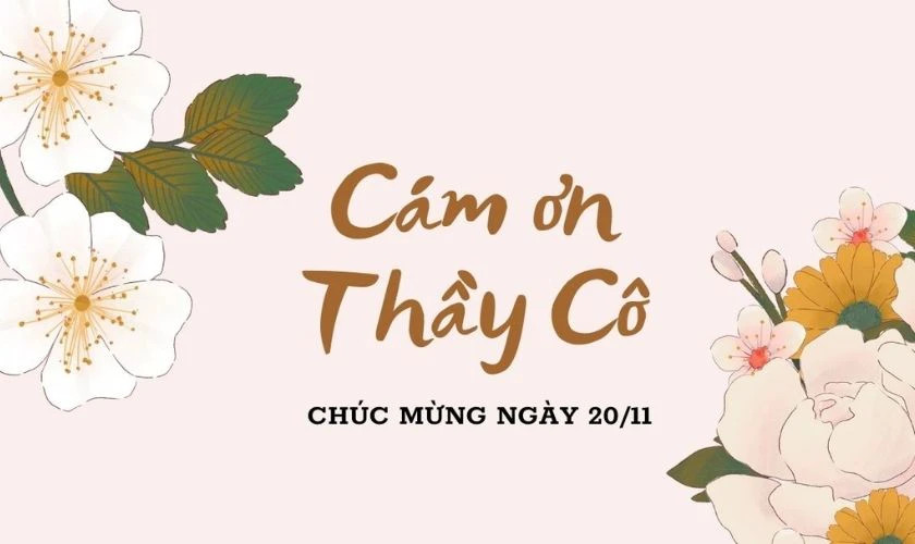 Ảnh bìa 20/11 đẹp tri ân thầy cô