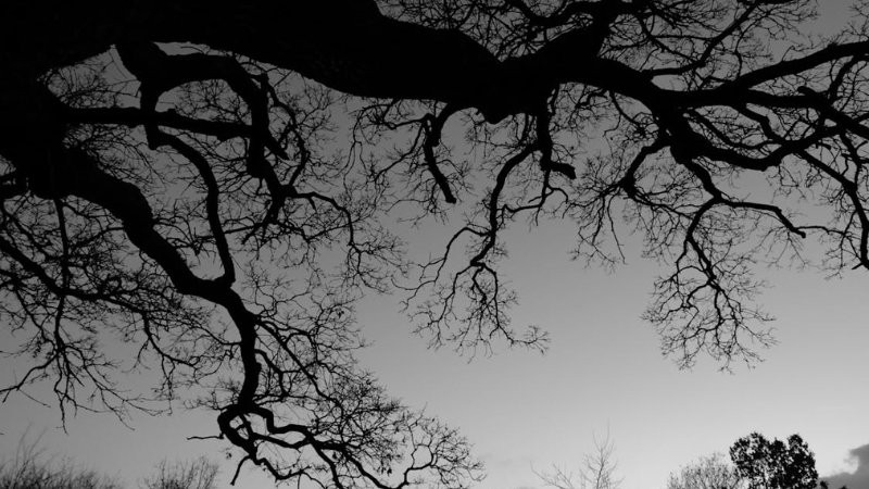 Ảnh bìa đen với họa tiết ren Gothic