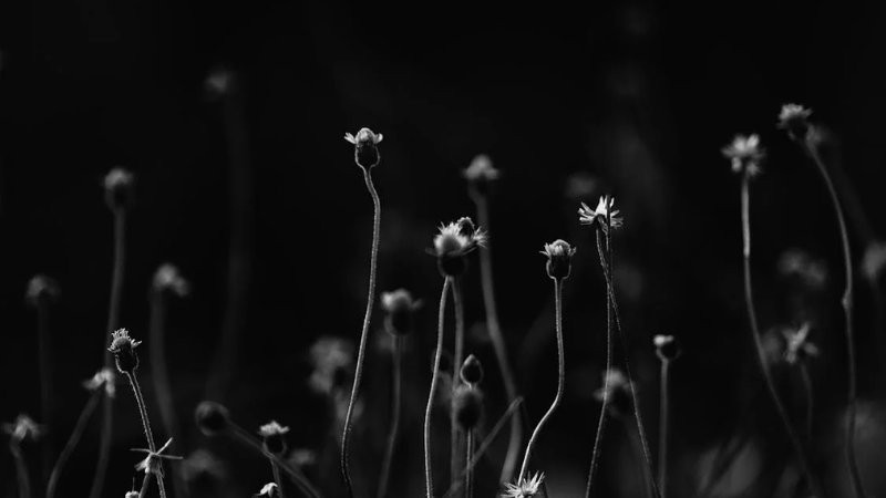 Ảnh bìa Facebook màu đen xám đơn giản